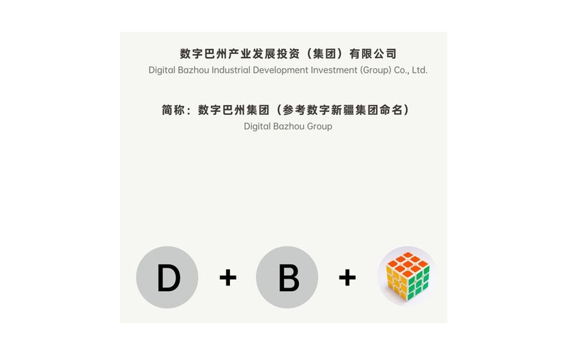 数字巴州集团